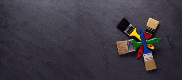 Reliable Newport, NC Mold Removal Solutions