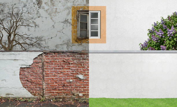 Mold Documentation for Insurance Claims in Newport, NC